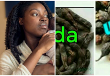 Benefits of uda and uziza after delivery Benefits of uda and uziza after delivery