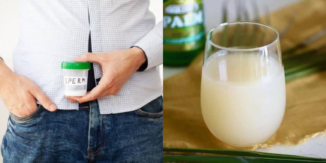 Effect of palm wine on sperm: Does palm wine increase sperm count?