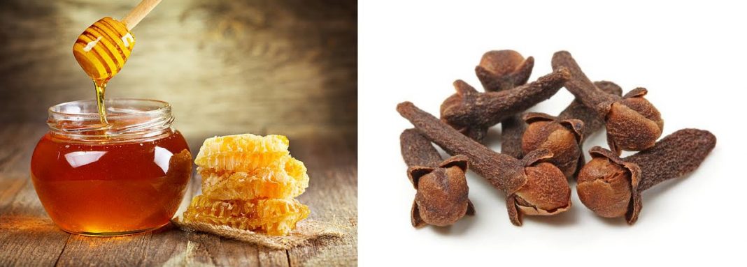 Health benefits of clove and honey (Clove and honey combo) Health benefits of clove and honey (Clove and honey combo)