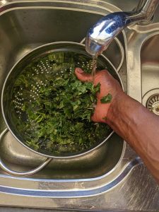 List of health benefits of bitter leaf