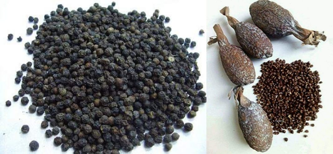 Alligator Pepper Vs Black pepper Difference between alligator pepper and black pepper