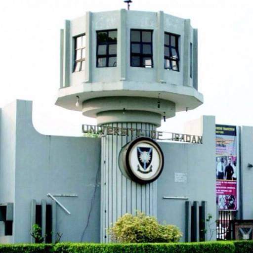 Universities Offering Microbiology In Nigeria (FULL LIST) - Nigerian ...