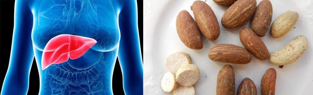 Is bitter kola good for liver? Effect of bitter kola on the liver