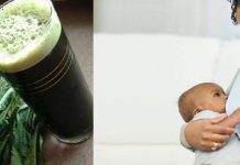 Can a nursing mother drink bitter leaf juice? Can a nursing mother drink bitter leaf juice?
