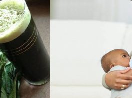 Can a nursing mother drink bitter leaf juice? Can a nursing mother drink bitter leaf juice?