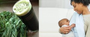 Can a nursing mother drink bitter leaf juice?
