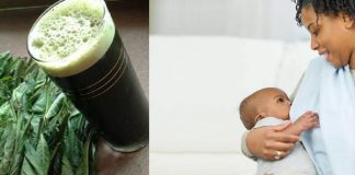 Can a nursing mother drink bitter leaf juice? Can a nursing mother drink bitter leaf juice?