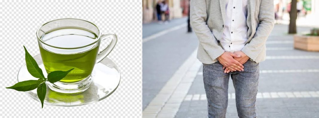 Does green tea make you last longer in bed? Green Tea and Erectile Dysfunction