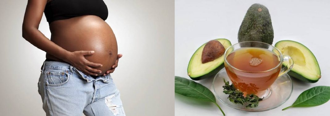 Can I drink avocado seed water while pregnant? Can I drink avocado seed water while pregnant?