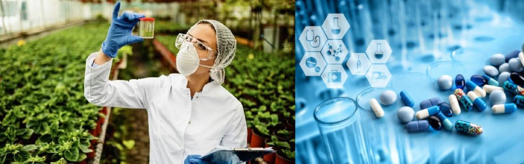 can a botanist work in a pharmaceutical company? can a botanist work in a pharmaceutical company?