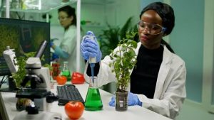 Job opportunities for Botany graduates - where can a botanist work?