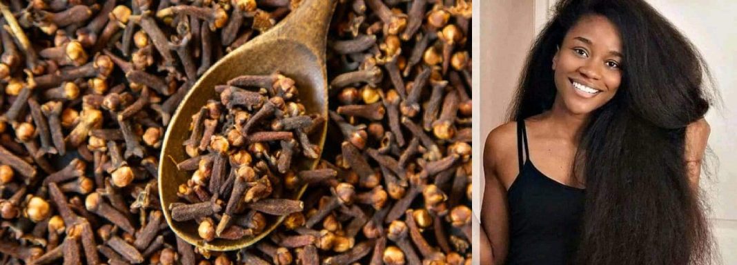 how to use clove oil for hair growth how to use clove oil for hair growth