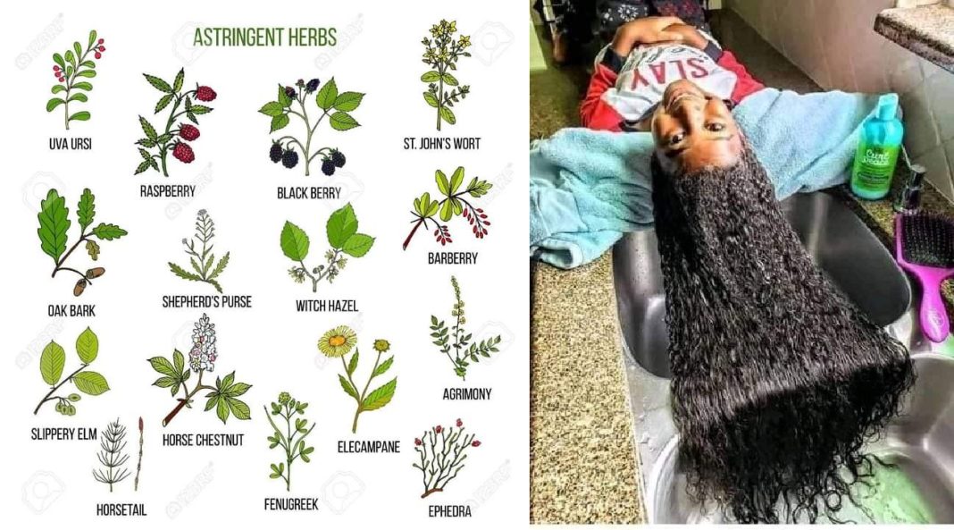 Nigerian herbs for hair growth Nigerian herbs for hair growth
