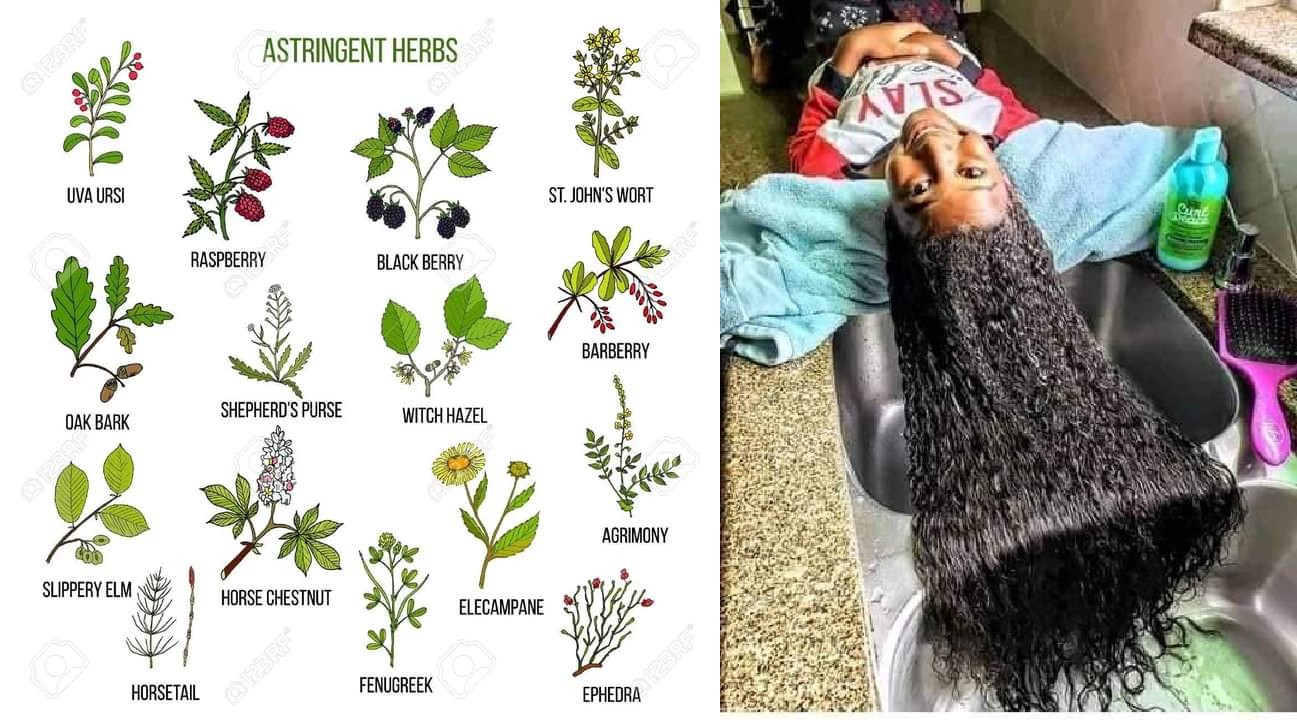 Nigerian herbs for hair growth - Nigerian Health Blog