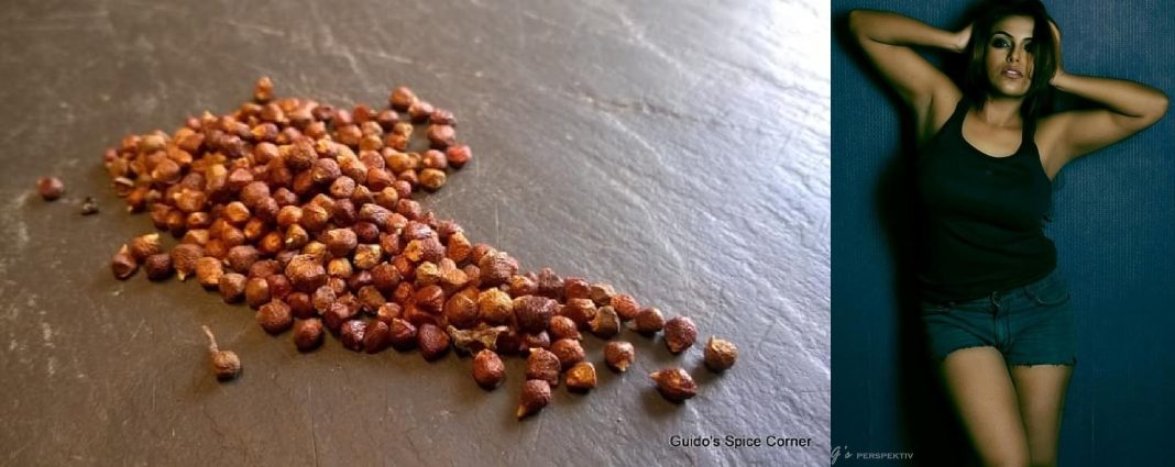 How to use grains of paradise for weight loss How to use grains of paradise for weight loss