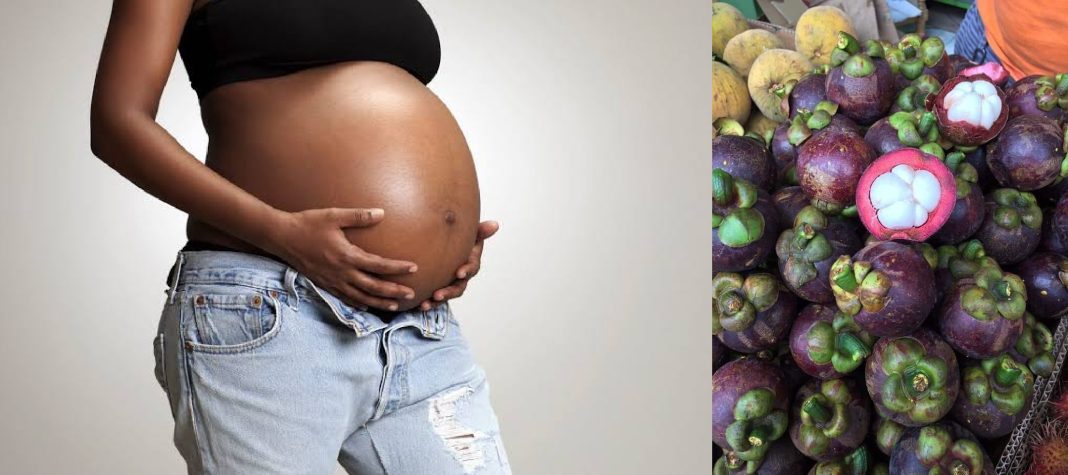 Mangosteen fruit benefits for pregnancy Mangosteen fruit benefits for pregnancy