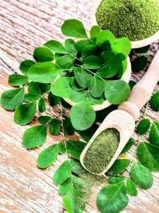 Can Moringa cure yeast infection?