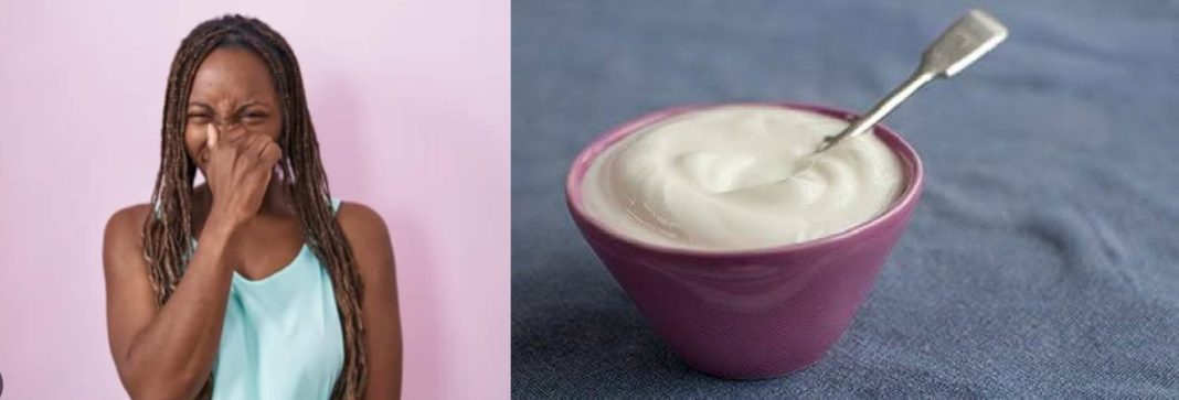 Can inserting yogurt cure BV Is plain Greek yogurt good for BV?