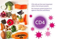 Foods to increase CD4 COUNT Foods to increase CD4 COUNT