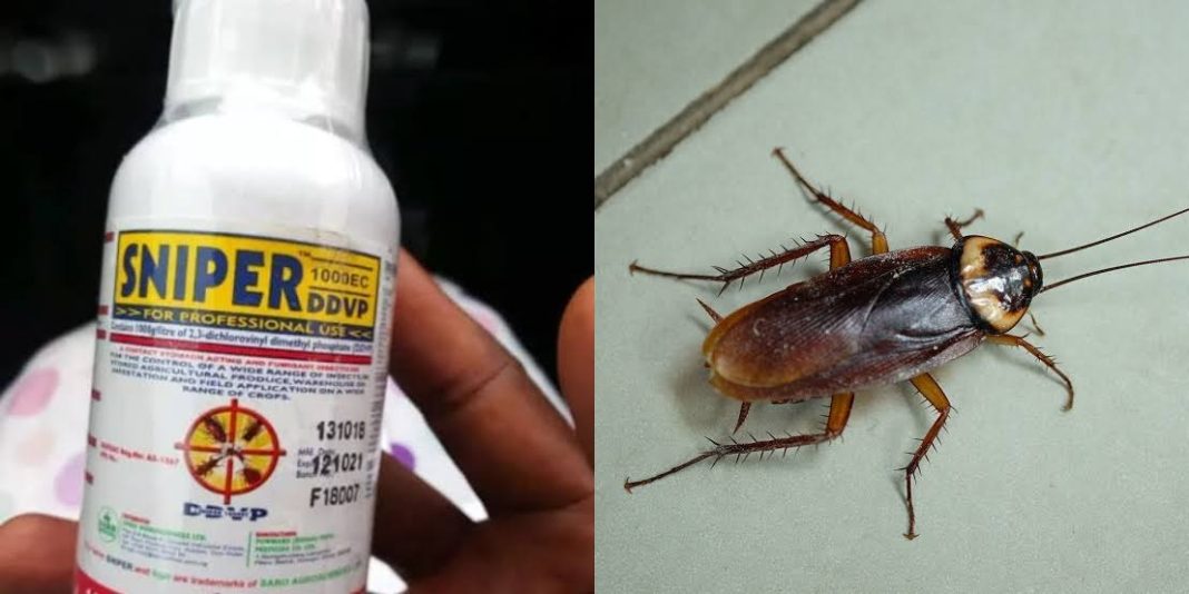 How to use sniper insecticide for cockroaches How to use sniper insecticide for cockroaches