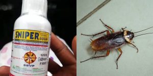 How to use sniper insecticide for cockroaches