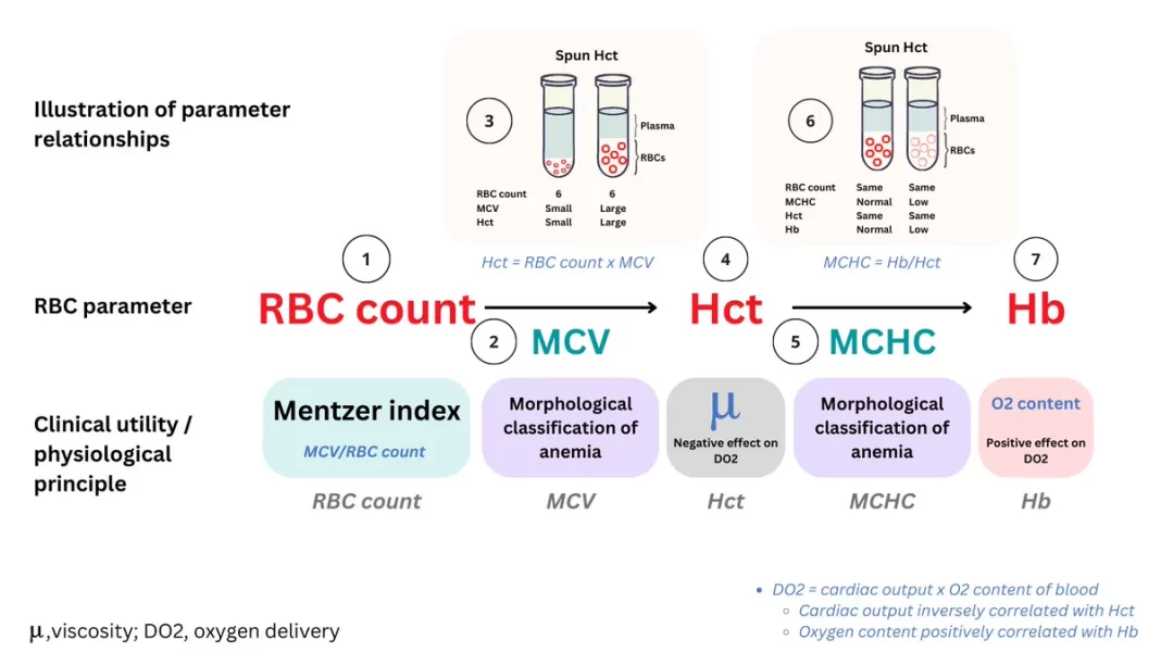 RBC Parameters RBC Parameters