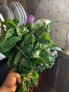 Health Benefits of ugu leaf