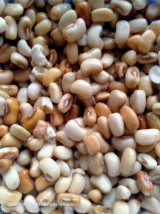 is it good to parboil beans before cooking