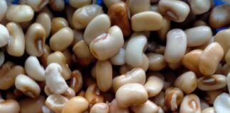 Is it good to parboil beans before cooking? is it good to parboil beans before cooking