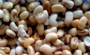 Is it good to parboil beans before cooking? is it good to parboil beans before cooking