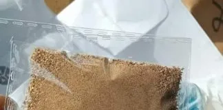 Burantashi: origin, benefits, dosage, cost & side effects