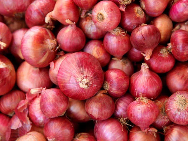 Onions (Allium cepa): Nutritional value and health benefits Images 2019 07 11T202352.024 1