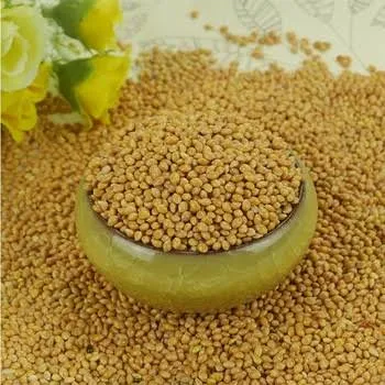 What you should know about millet grains: Health benefits Millet grains