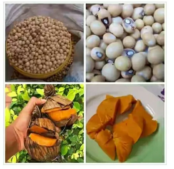 Health Benefits of Bambara Nuts (Okpa)- Prof Sa’eed Bambara nuts