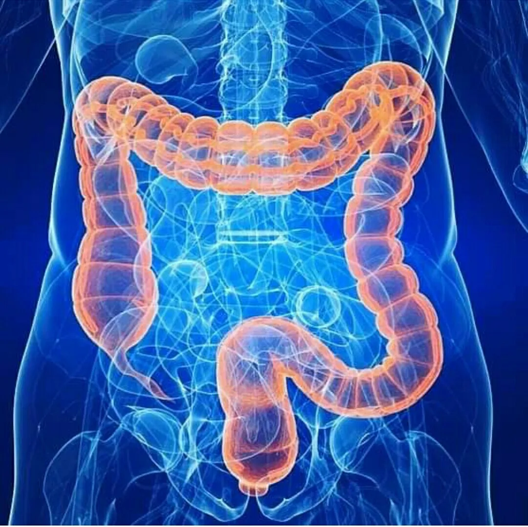 Colon cleanse