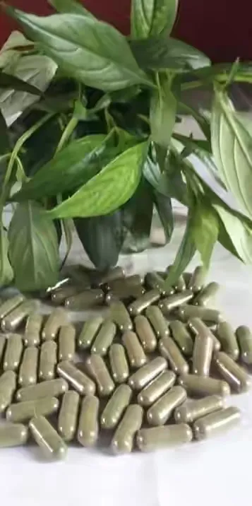 Health Benefits of Serpentina Leaves (Serpentina Capsule) Health Benefits of Serpentina Leaves (Serpentina Capsule)