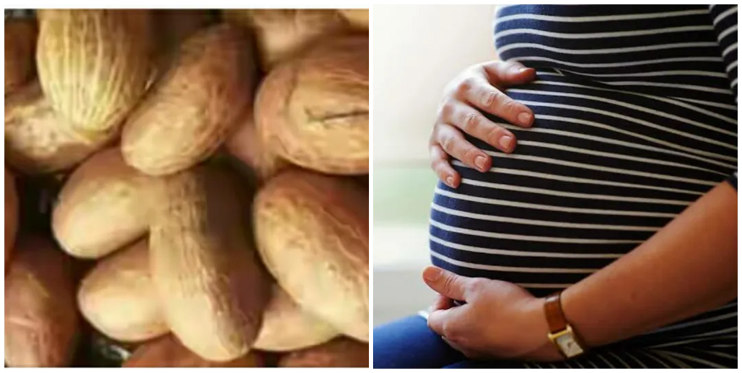 Is bitter kola good for a pregnant woman? Can bitter kola cause abortion? Is bitter kola good for a pregnant woman? Can bitter kola cause abortion?