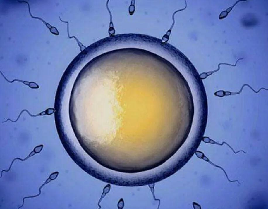 Solution and Treatment of low sperm count in Nigeria