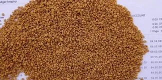 Fenugreek health benefits and side effects (disadvantages) Fenugreek health benefits and side effects