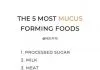 Foods that cause phlegm and mucus - According to Dr Sebi
