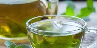 When to drink green tea morning or night?