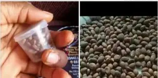 How To use Ghana seed for flat tummy and weight loss
