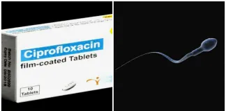 Can ciprofloxacin kill sperm in a woman? Can ciprofloxacin kill sperm in a woman?