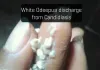 White Odeepua (Candidiasis): Meaning, Causes, Symptoms,Treatment and Prevention