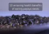 10 amazing health benefits of eating papaya seeds