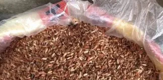 Red rice benefits and side effects Red rice benefits and side effects